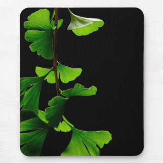 Ginkgo_Biloba_Leaves_-_Black_Background Mouse Pad