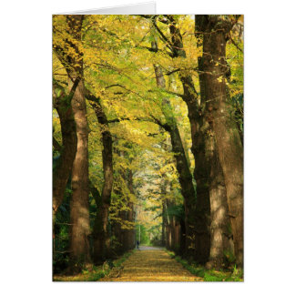 Ginkgo Biloba trees