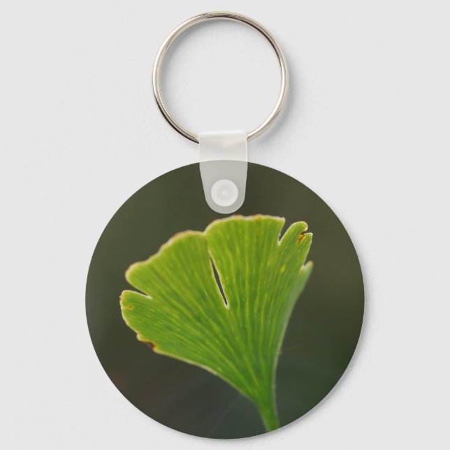 Ginkgo Leaf Key Ring (Front)