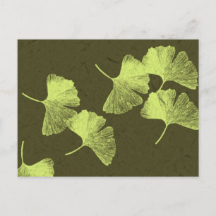 Ginkgo Leaves Postcard