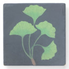 Ginkgo leaves