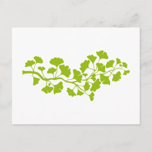 ginkgo tree silhouette with green leaves postcard