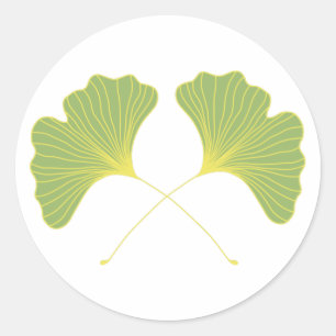 Ginkgo Tree Spring Green Leaves Classic Round Sticker