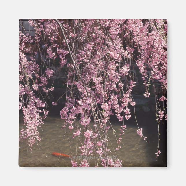 Gion, Kyoto Prefecture, Japan Magnet (Front)