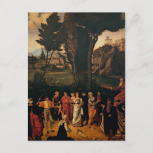 Giorgione- The Judgement of Solomon Postcard