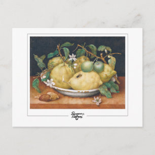 Giovanna Garzoni #4 - Fine Art Postcard