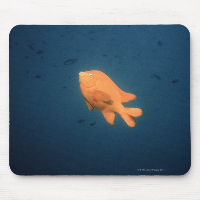 Girabaldi Mouse Pad (Front)