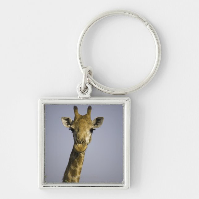 Giraffa Camelopardalis Key Ring (Front)