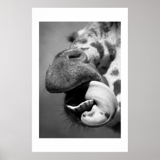 Giraffe#1 Poster