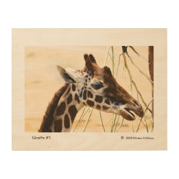 Giraffe #1 wood wall art