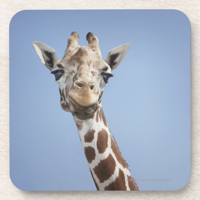 Giraffe 2 coaster (Front)