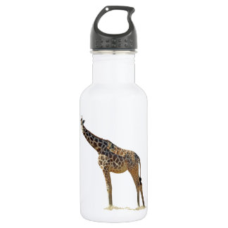 GIRAFFE 532 ML WATER BOTTLE