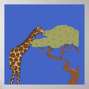 Giraffe, acacia poster