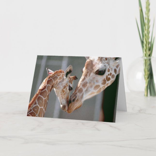 Giraffe and Baby note card (Front)
