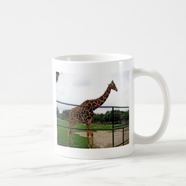 Giraffe Animal Photograph Coffee Mug (Right)