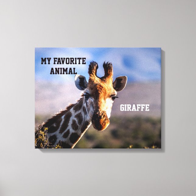 Giraffe as My Favourite Animal Custom Canvas Print (Front)