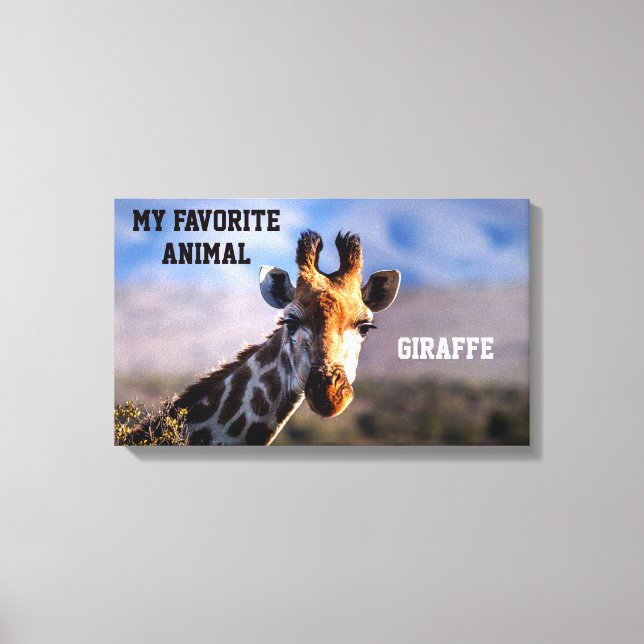 Giraffe as My Favourite Animal Custom Canvas Print (Front)