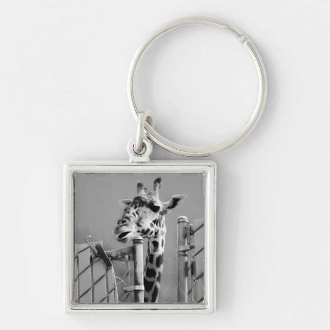 Giraffe behind Fence Black & White Photograph Key Ring (Front)
