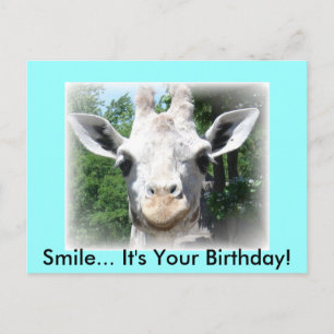 Giraffe Birthday Postcard