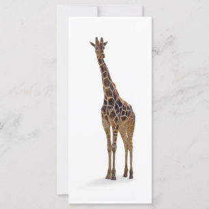 Giraffe Bookmark / Rackcard