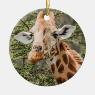Giraffe Browsing Ceramic Tree Decoration