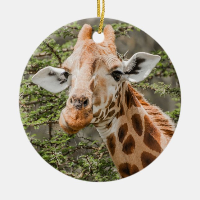 Giraffe Browsing Ceramic Tree Decoration (Front)