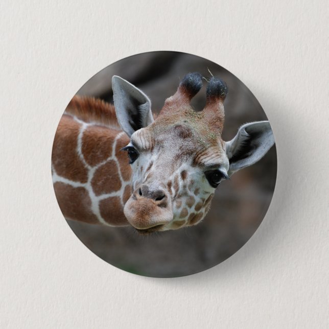 Giraffe  Button (Front)