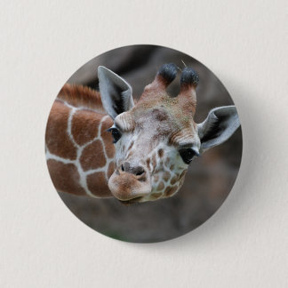 Giraffe  Button