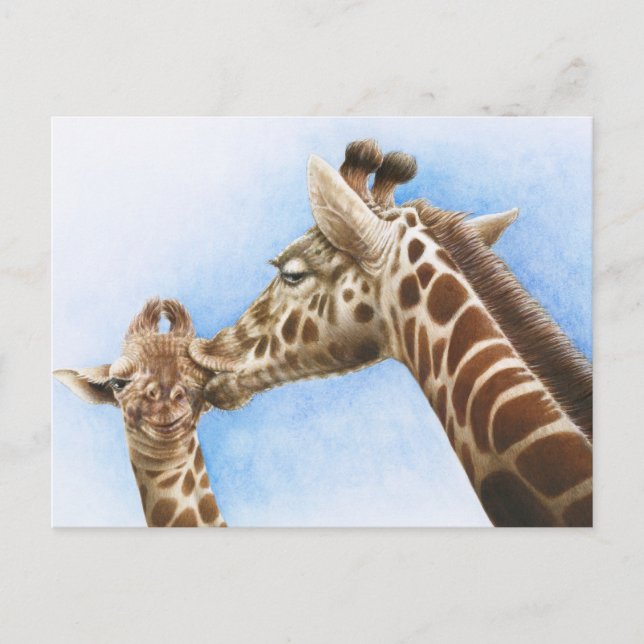 Giraffe & Calf Postcard (Front)
