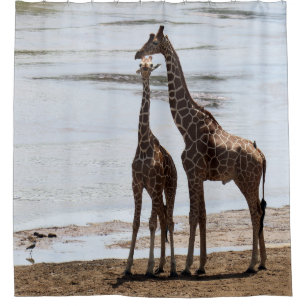 Giraffe & Calf shower curtain