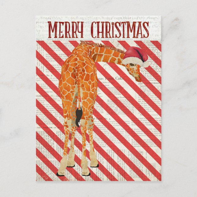 Giraffe Candy Cane Postcard (Front)