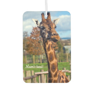 Giraffe Car air freshener