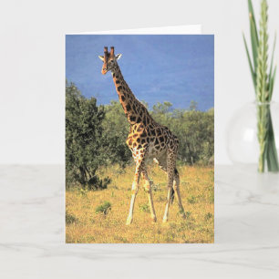 Giraffe Card