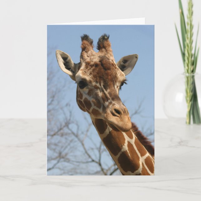 Giraffe Card (Front)