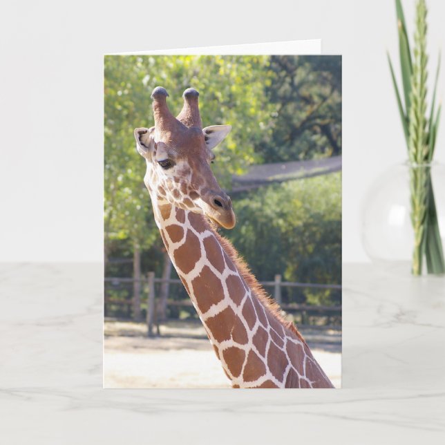 Giraffe Card (Front)