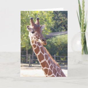 Giraffe Card