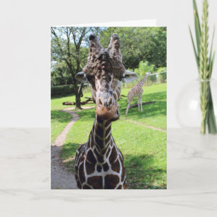 Giraffe Card
