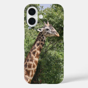 giraffe iPhone 16 case