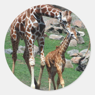 Giraffe Classic Round Sticker