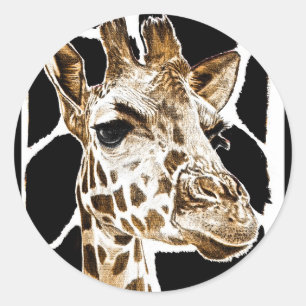 giraffe classic round sticker