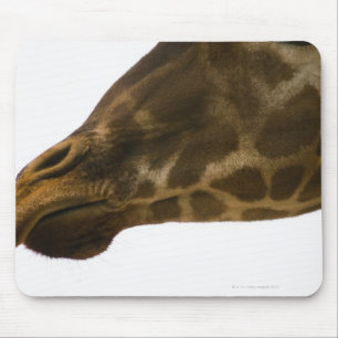 Giraffe,close up mouse pad