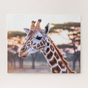 Giraffe Closeup Jigsaw Puzzle