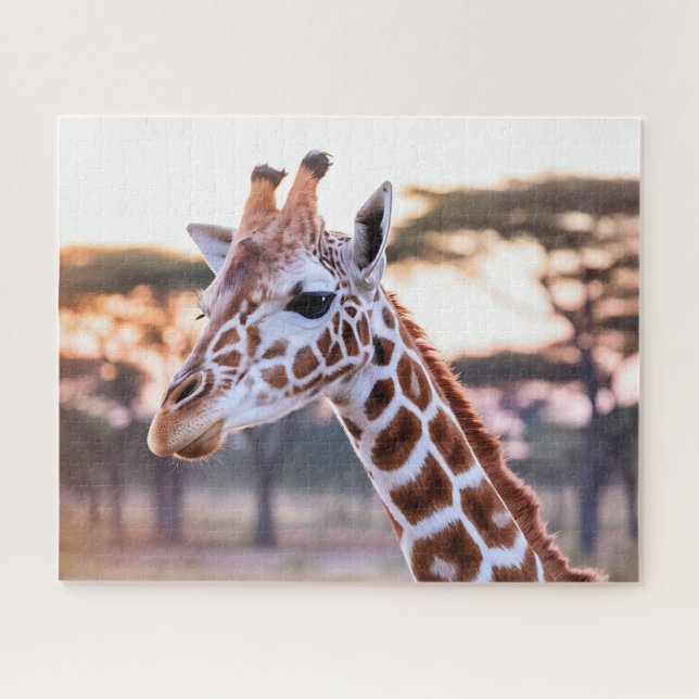 Giraffe Closeup Jigsaw Puzzle (Horizontal)