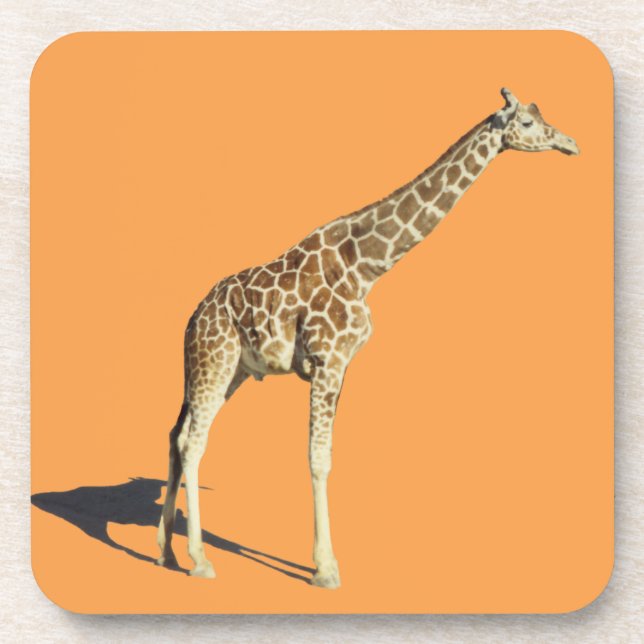 Giraffe Coaster (Front)