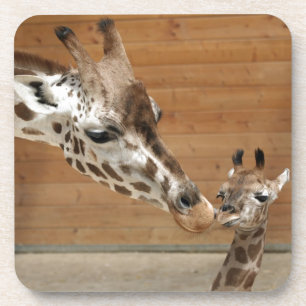 Giraffe Coaster