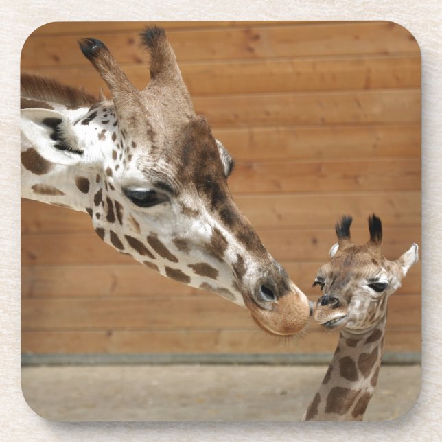 Giraffe Coaster (Front)