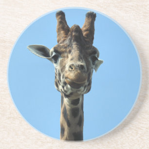 GIRAFFE COASTER