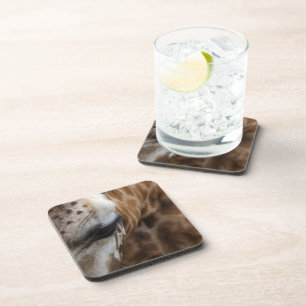 Giraffe Coasters