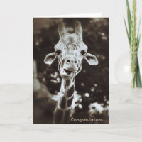 Giraffe Congratulations Greeting Card