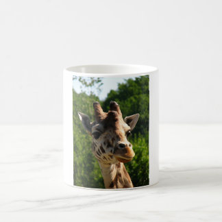 giraffe cup